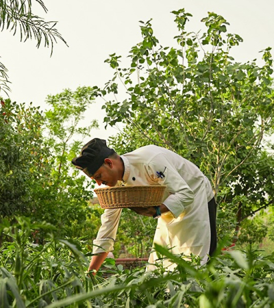 Utsav Camp Chef in Garden